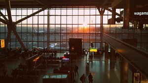 OMT: Innovación, inversión y educación, claves para el turismo del futuro - Revista PLUS