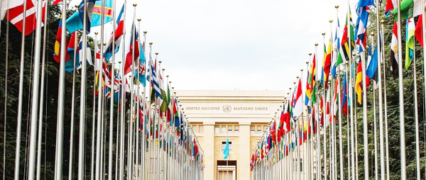 ONU abre el camino para una convención fiscal internacional | Internacionales | 5Días