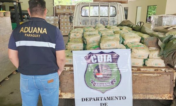 Incautan semillas vencidas ingresadas al Paraguay ilegalmente desde el Brasil – Diario TNPRESS