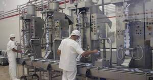 La Nación / Producción láctea sigue sufriendo embates de la sequía en el Chaco paraguayo