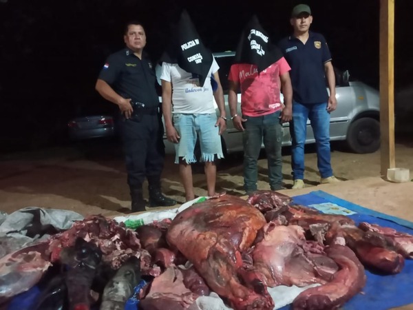 Incautan 110 kilos de carne en Concepción