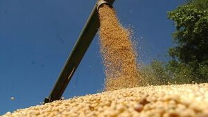 Molienda de granos acumula caída del 33% al mes de octubre | Agronegocios | 5Días