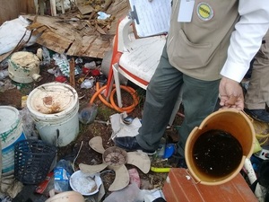 Instan a eliminar los criaderos de mosquitos - Megacadena — Últimas Noticias de Paraguay