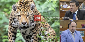 SENADORES ESTABLECEN EL 29 DE NOVIEMBRE DE CADA AÑO COMO EL DÍA NACIONAL DEL JAGUARETÉ