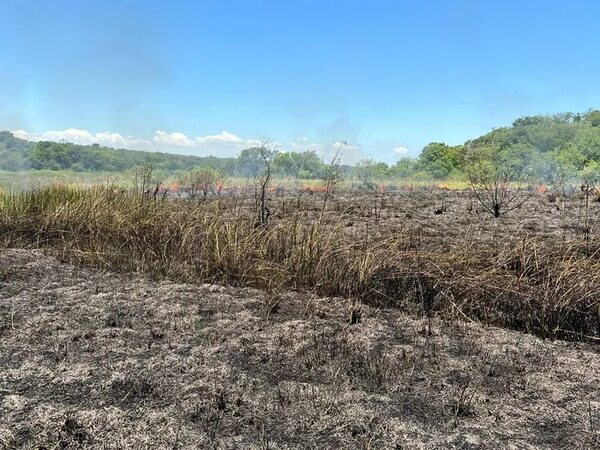 Incendio en reserva natural de la Itaipú en Santa Fe del Paraná - ABC en el Este - ABC Color