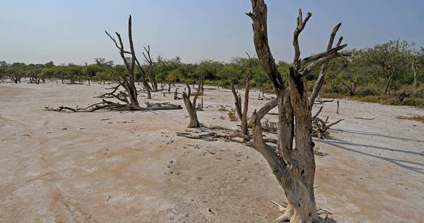 La Nación / Cambio climático, una amenaza latente a los derechos de la niñez