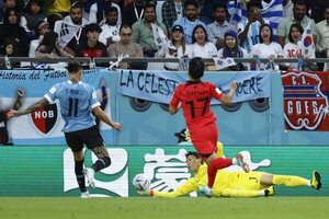 Darwin Núñez, viejo conocido se cruza en el camino de Portugal - Fútbol - ABC Color