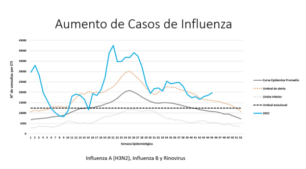 Alerta epidemiológica ante aumento de consultas por cuadros de tipo Influenza | 1000 Noticias