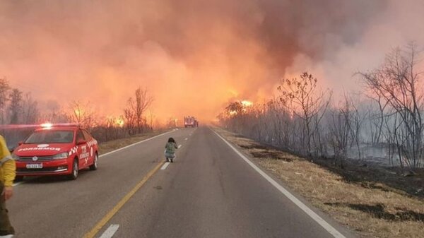 Alerta por incendios forestales en seis provincias de Argentina
