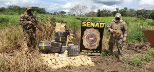 Dicen que Senad ocasionó perjuicio de US$ 223 millones al crimen organizado en lo que va del año