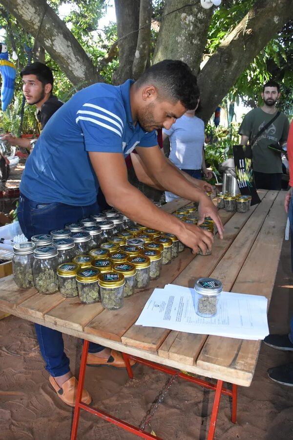 Fiesta cannábica se vivió ayer en Itauguá - Notas - ABC Color