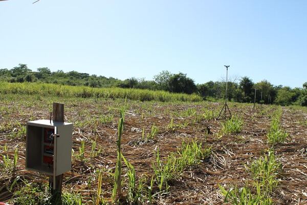 Diario HOY | Innovaciones tecnológicas permiten optimizar el uso de recursos naturales