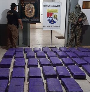 Incautan más de 400 kilos de marihuana en Canindeyú