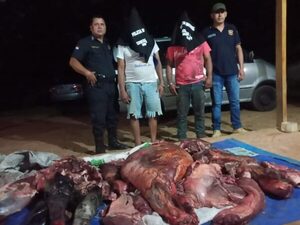 INCAUTAN 110 KILOS DE CARNE EN CONCEPCIÓN - La Voz del Norte