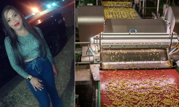Mujer murió tras caer en una máquina trituradora de papas - OviedoPress