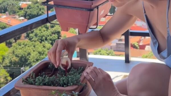 Llueven críticas a Nicole Huber tras regar plantas con su menstruación