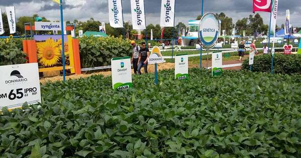 La Nación / Mañana arranca muestra con últimas innovaciones tecnológicas para el sector agropecuario