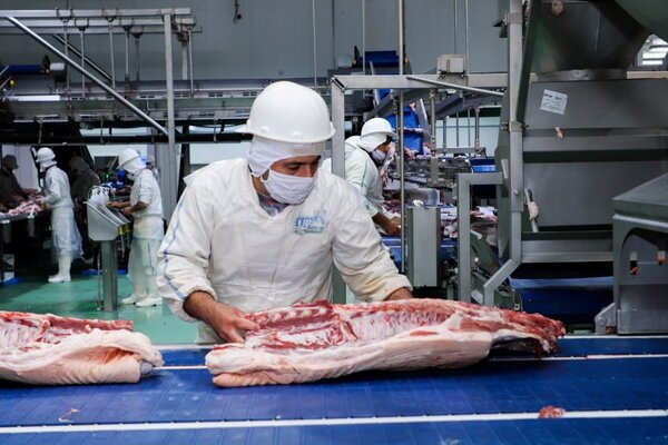 Carne porcina de Paraguay ingresará al mercado de Taiwán