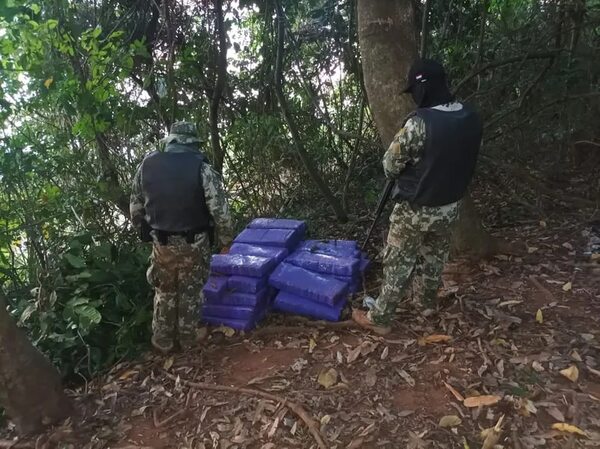 Más de 400 kg de marihuana fueron incautados en Canindeyú - Nacionales - ABC Color