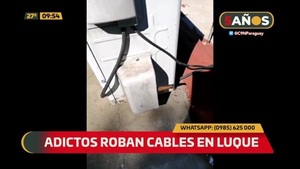 Adictos roban cables en Luque - C9N