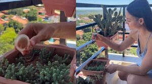 Nicole Huber riega una planta con sangre menstrual y la “trozan” en redes sociales