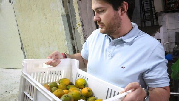 El desperdicio de mangos pone a prueba la creatividad de jóvenes