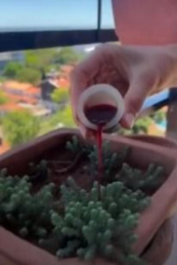 ¿Qué es esooo?... Nicole le da su periodo a sus plantas