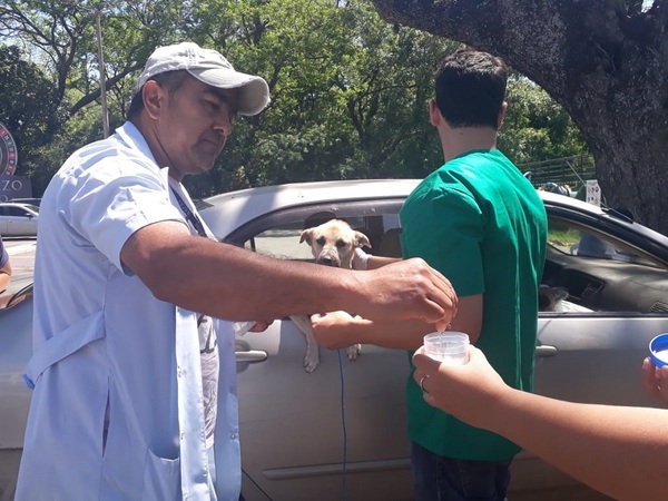 Más de 200 mascotas desparasitadas y vacunadas contra la rabia