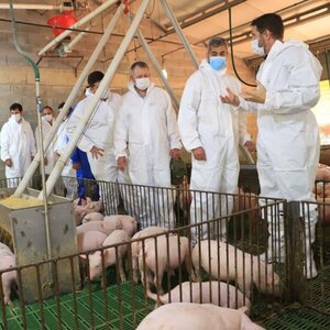 Abdo agradece apertura de Taiwán, mercado de unos USD 250 millones, a la carne porcina paraguaya - .::Agencia IP::.