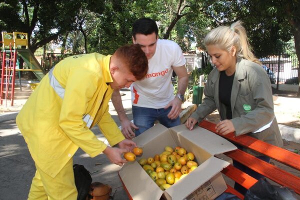 Diario HOY | Desperdicio de mangos en Asunción pone a prueba creatividad de universitarios