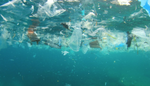Diario HOY | Uruguay alberga primer encuentro entre gobiernos para salvar a los océanos de los plásticos