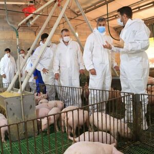 Abdo agradece apertura del mercado de Taiwán a la carne porcina paraguaya - El Trueno