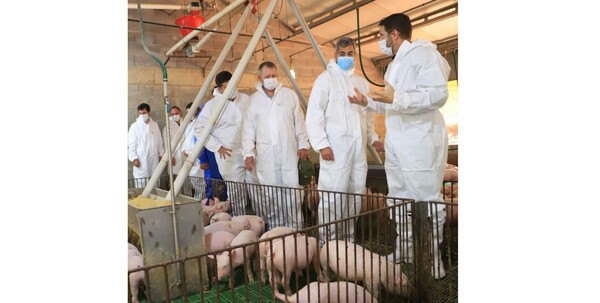 Mario Abdo Benítez celebra apertura de mercado de Taiwán a carne porcina paraguaya - Revista PLUS