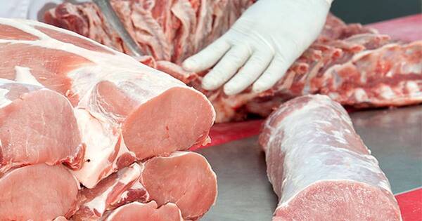 La Nación / Carne porcina: el mercado de Taiwán representa un potencial ingreso de US$ 250 millones.