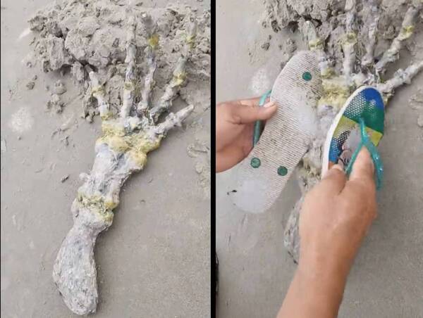 Extraño hallazgo en una playa de Brasil: “se parece a la mano de un extraterrestre”