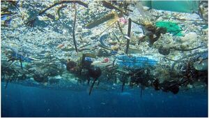 ONU: 193 países preparan convenio contra los plásticos