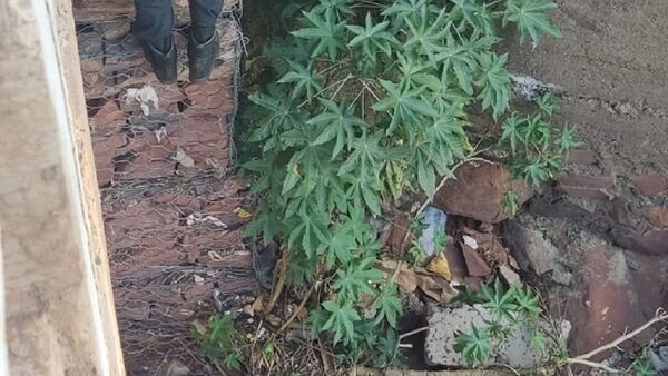 Niños desaparecidos causan susto en San Antonio