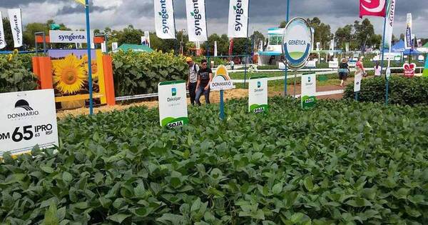 La Nación / Muestra de innovaciones del sector agropecuario