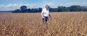 Piden el rechazo de proyectos sobre producción sojera: “Son descabellados y peligrosos” - Economía - ABC Color