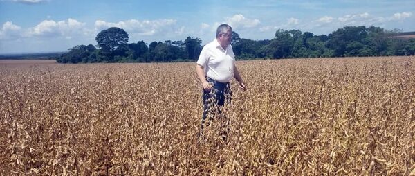 Piden el rechazo de proyectos sobre producción sojera: “Son descabellados y peligrosos” - Economía - ABC Color