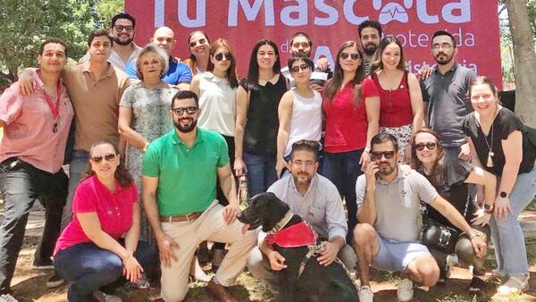 Interasistencia lanza servicio destinado a las mascotas | Empresas | 5Días