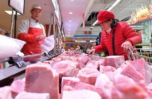 Productores porcinos esperan exportar por valor de USD 30 millones con ingreso al mercado taiwanés