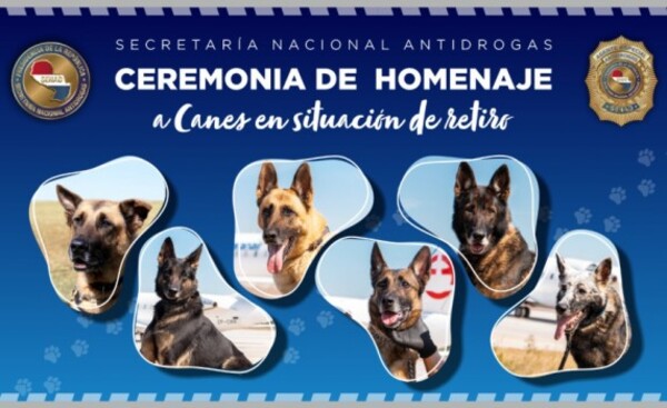 Seis canes detectores de drogas de SENAD recibirán reconocimiento