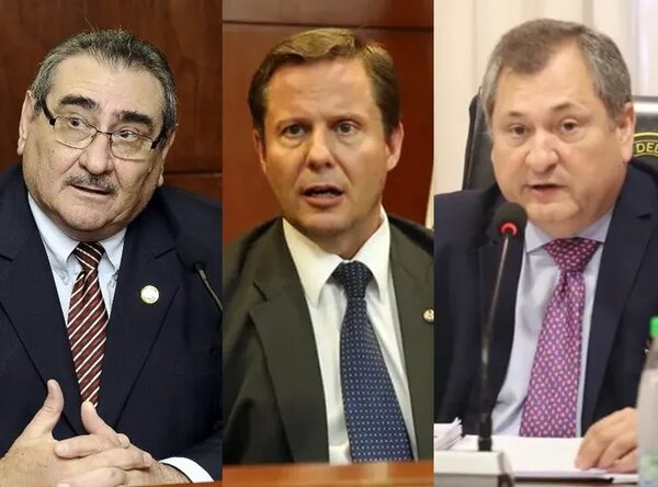 Rechazo a la inconstitucionalidad: “fue una oportunidad perdida” - Nacionales - ABC Color