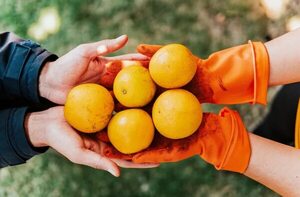 Las personas que comen fruta tienen un mayor bienestar mental y menos síntomas de depresión, según un estudio - Estilo de vida - ABC Color
