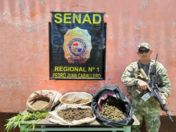 Senad incautó más de 15 kilos de marihuana en una vivienda de Cerro Cora'i - Radio Imperio