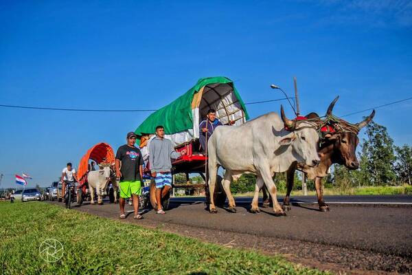 Diario HOY | Controlarán utilización de bueyes y caballos durante el novenario de Caacupé