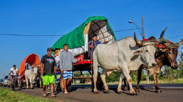 Controlarán utilización de bueyes y caballos durante el novenario de Caacupé - Noticiero Paraguay