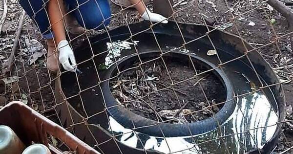 La Nación / Confirman nuevos casos de chikungunya y dengue esta semana