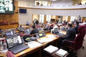 Senado aprueba con modificaciones el PGN 2023 y vuelve a Diputados - MarketData